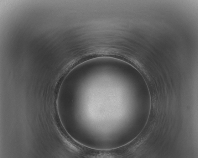 X0000061150445200511241835