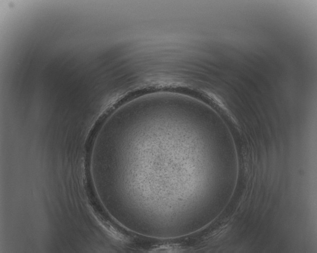 X0000061150447200511241835