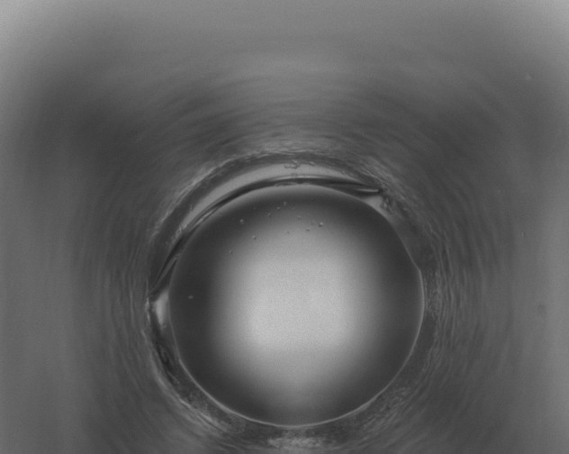 X0000061150448200511241835