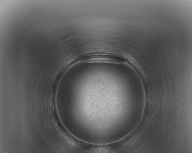 X0000061150449200511241835