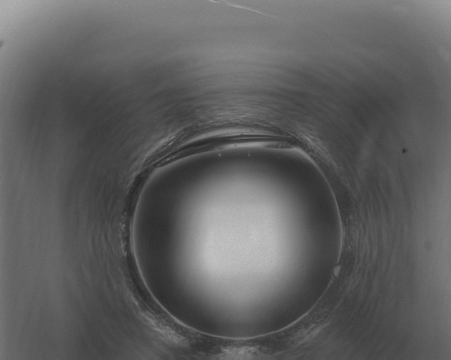 X0000061150450200511241835