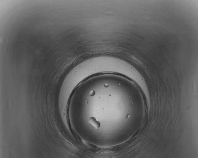 X0000061150452200511241835