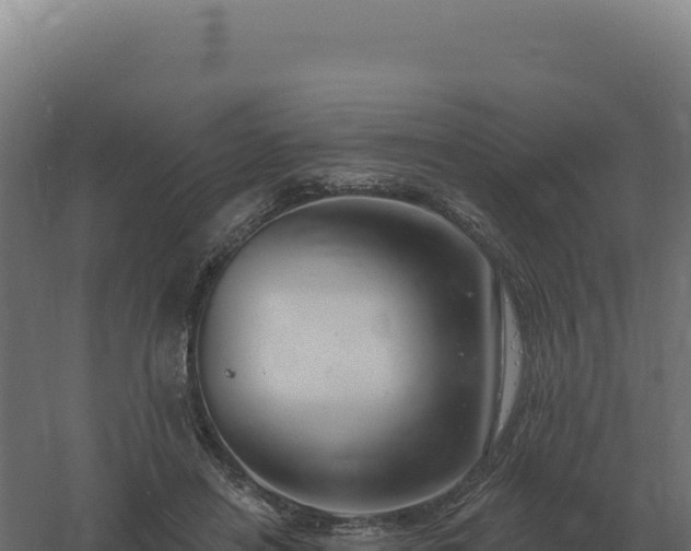 X0000061150454200511241835