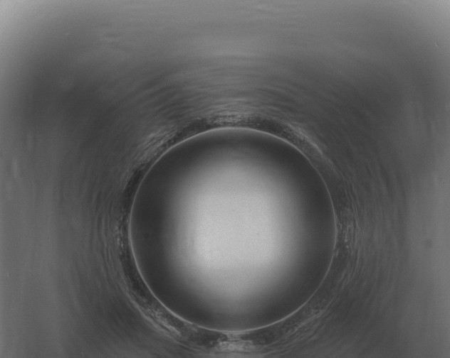 X0000061150455200511241835