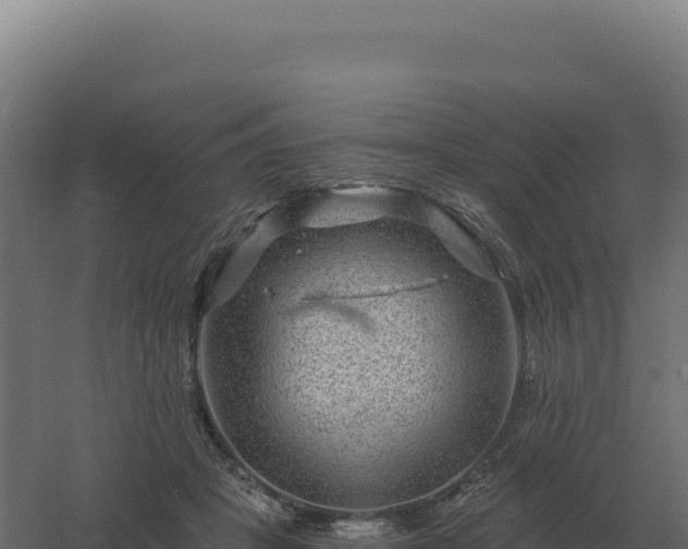 X0000061150457200511241835