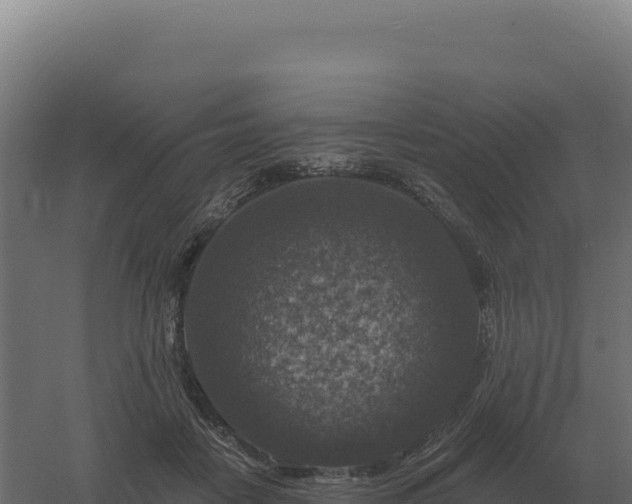 X0000061150458200511241835