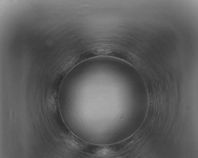 X0000061150460200511241835