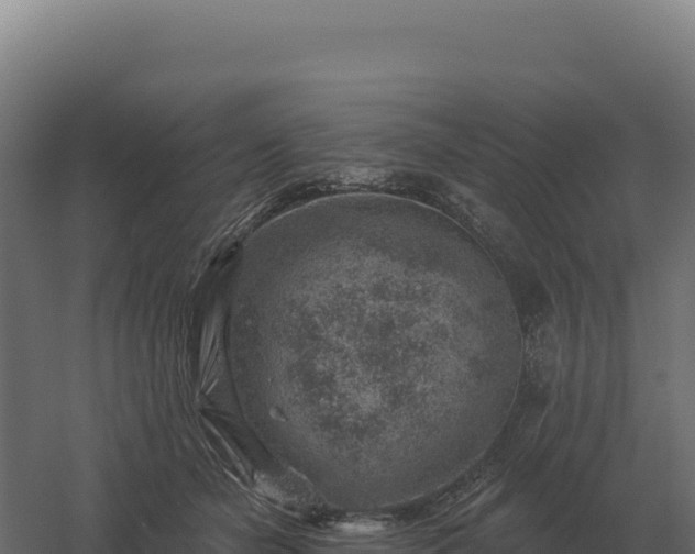 X0000061150462200511241835