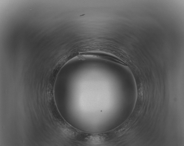 X0000061150464200511241835