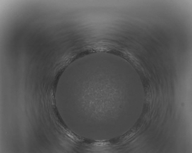 X0000061150465200511241835