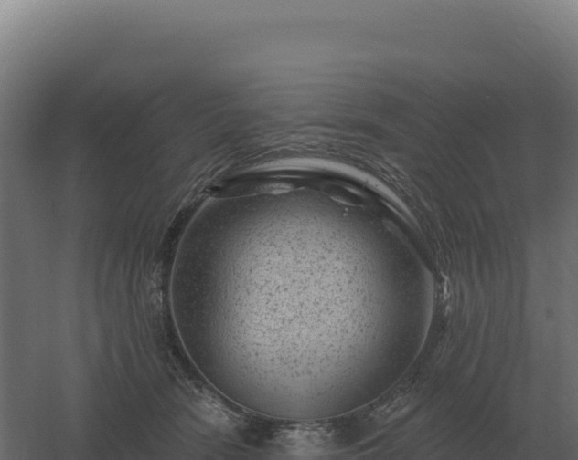 X0000061150466200511241835