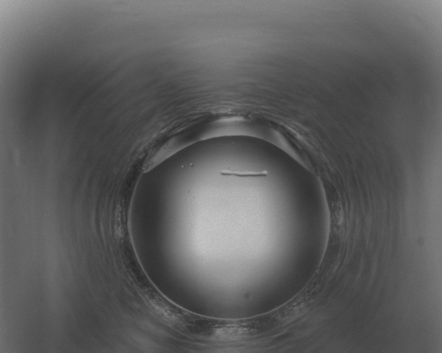 X0000061150470200511241836