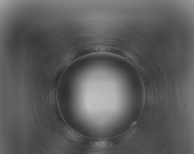 X0000061150473200511241836