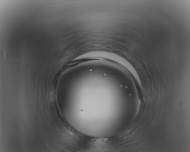 X0000061150474200511241836