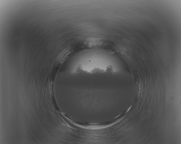 X0000061150475200511241836