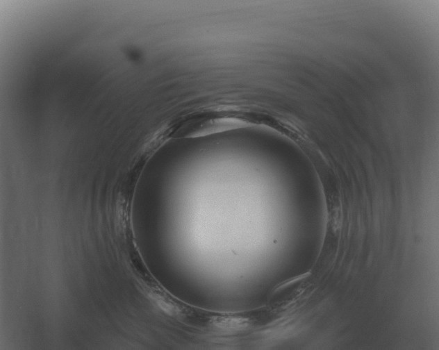 X0000061150476200511241836