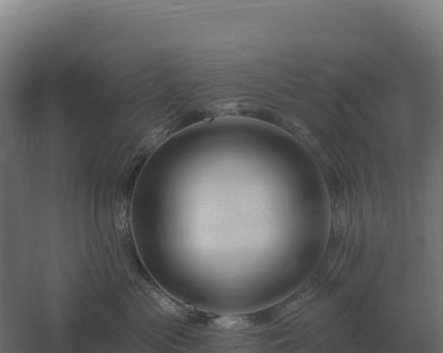 X0000061150477200511241836