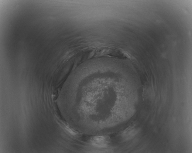 X0000061150479200511241836