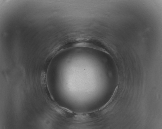 X0000061150480200511241836