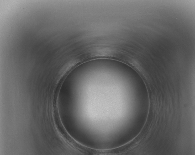 X0000061150482200511241835