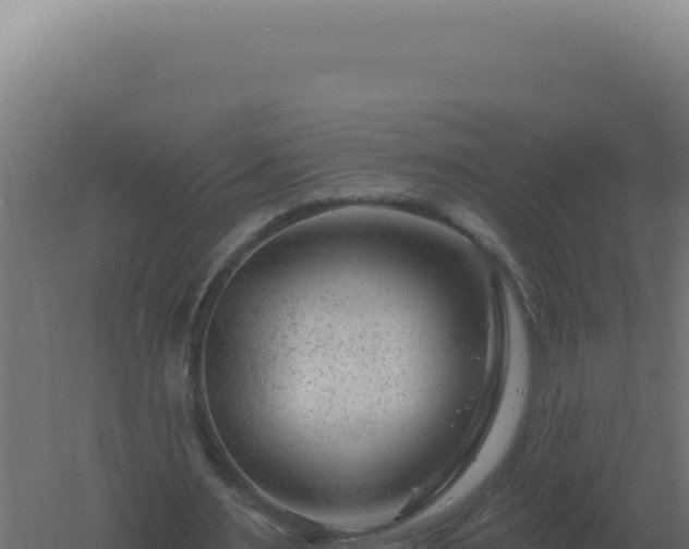 X0000061150483200511241835