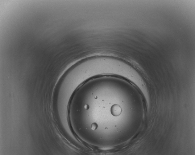 X0000061150484200511241835