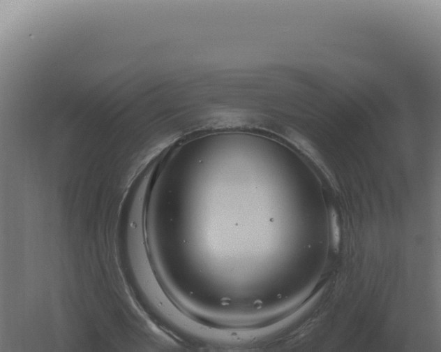 X0000061150485200511241835