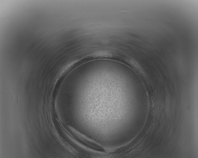 X0000061150487200511241835