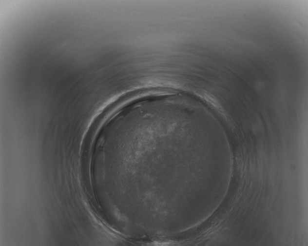 X0000061150488200511241835