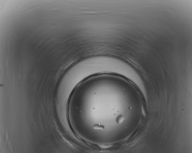 X0000061150489200511241835