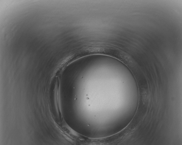 X0000061150490200511241835