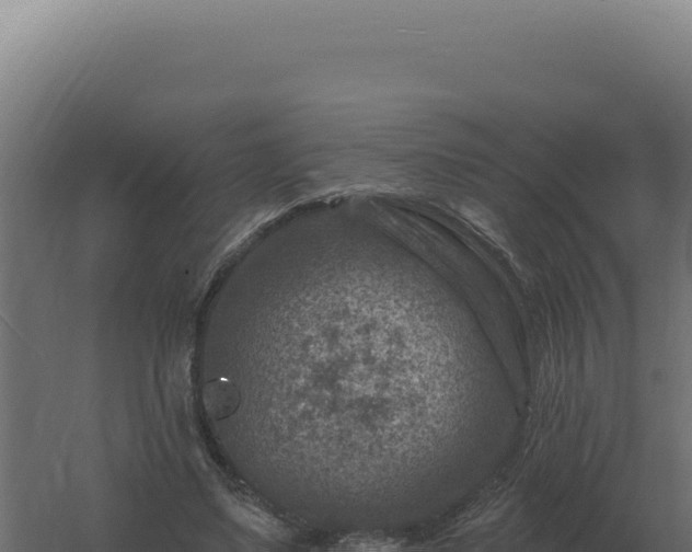 X0000061150491200511241835