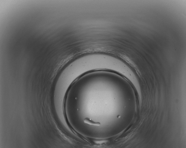 X0000061150493200511241835