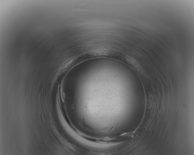 X0000061150494200511241835