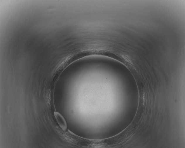 X0000061150495200511241835