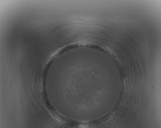 X0000061150496200511241835