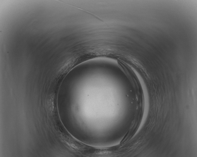 X0000061150501200511241835