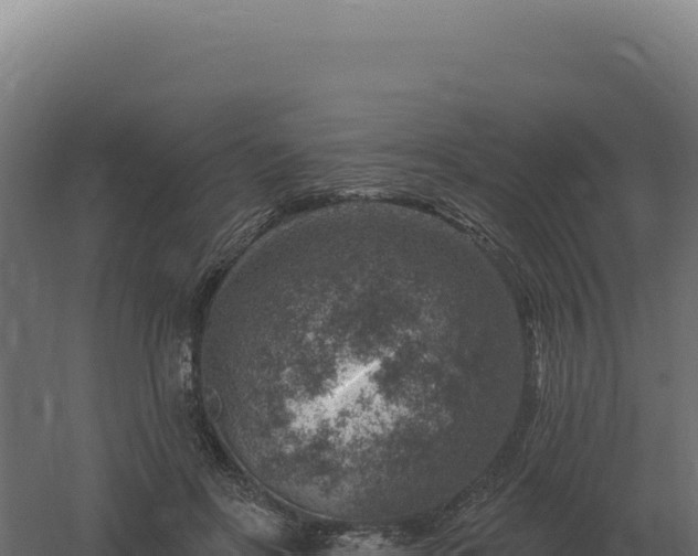 X0000061150502200511241835