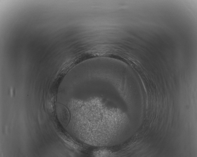 X0000061150503200511241835