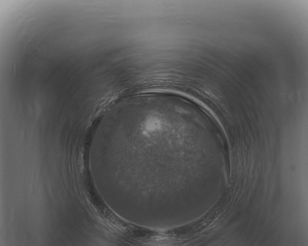 X0000061150504200511241834