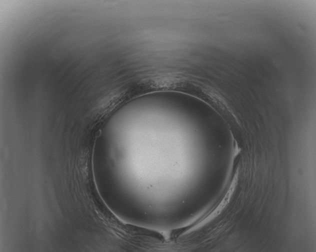 X0000061150505200511241834