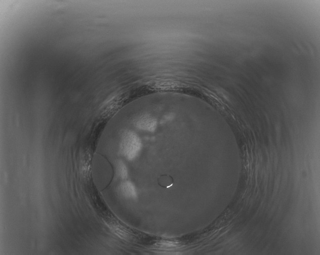 X0000061150507200511241834