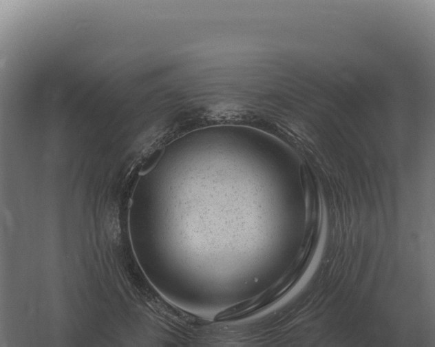 X0000061150508200511241834