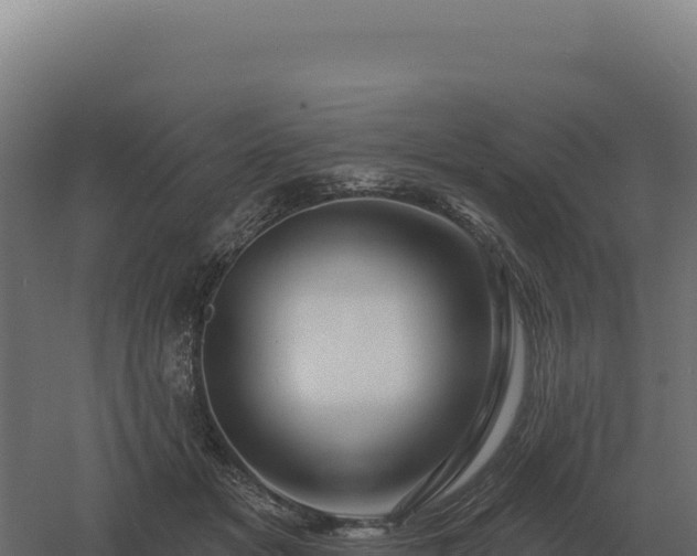 X0000061150509200511241834