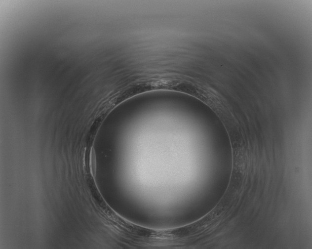 X0000061150510200511241834