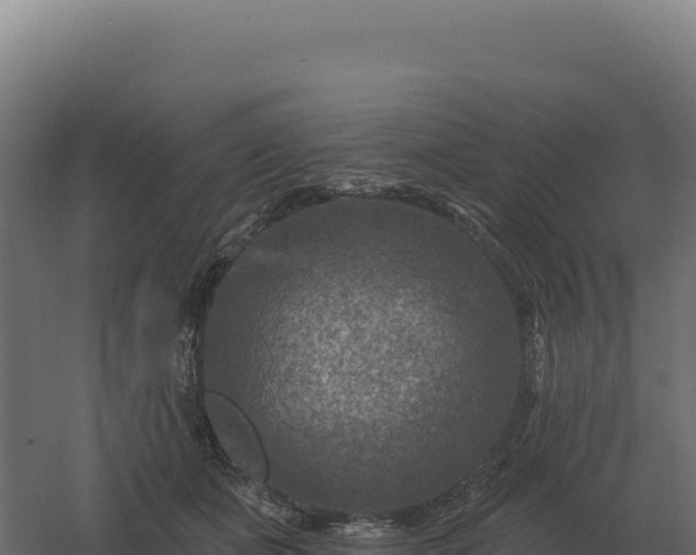 X0000061150511200511241834