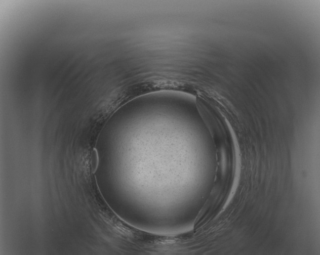 X0000061150513200511241834