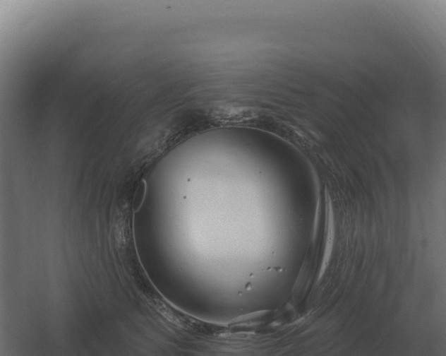 X0000061150515200511241834