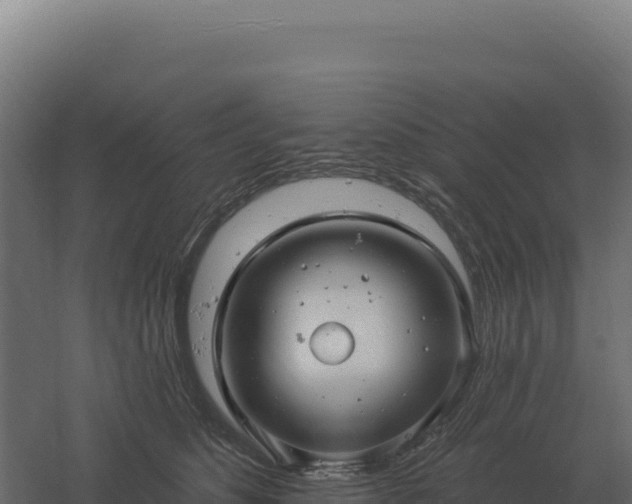 X0000061150516200511241834