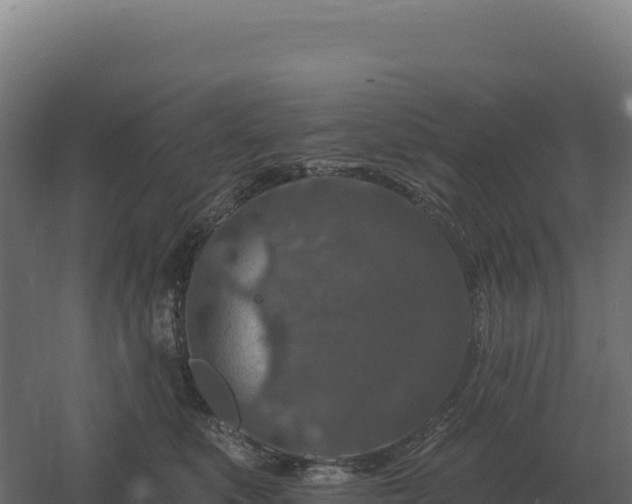 X0000061150519200511241834